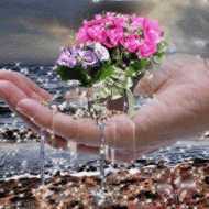 Blumen Wasser auf der Hand Glitzer