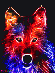 Wolf animierte Farben