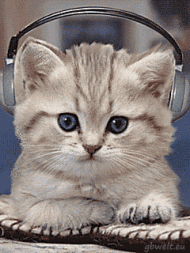 Kitten mit Kopfhörer