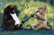 musikalische Katzen