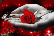 Schmetterling und Rose in einer Hand