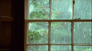 Fenster Regen