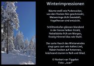 Winterimpressionen