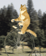 Katze fährt Hochrad - Animation