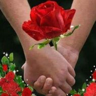 Rosen liebe Hand halten