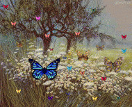 Schmetterlinge animiert
