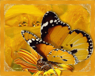 Schmetterling Glitzer
