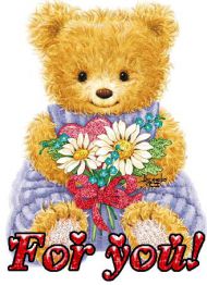 Teddy for you